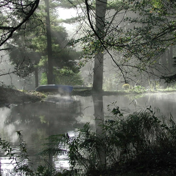 Meet your Posher, Joyce - Picture 1 of 1